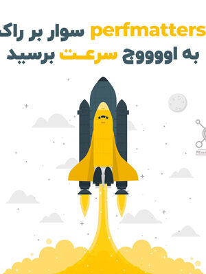 افزونه افزایش سرعت وردپرس perfmatters | مکمل راکت با 50 راهکار